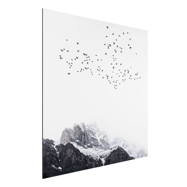 Wandbilder Tiere Vogelschwarm vor Bergen Schwarz Weiß