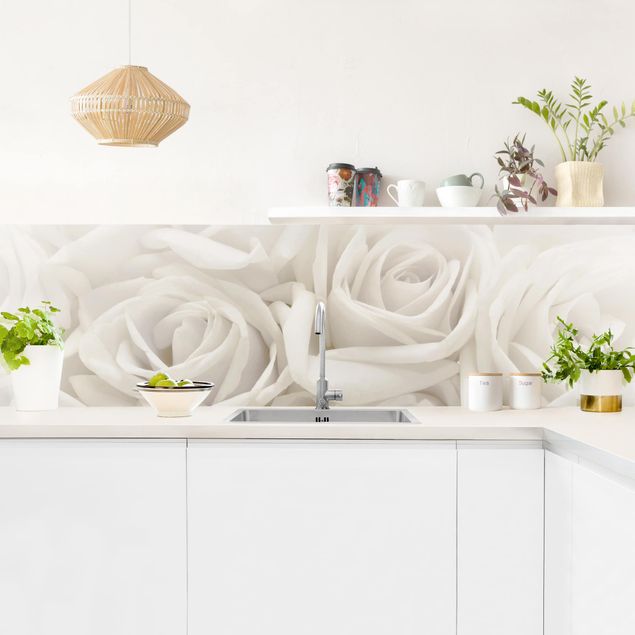 Küchenrückwand Gräser Weiße Rosen
