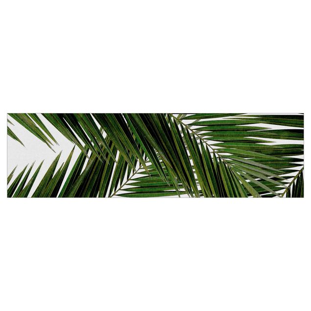 Klebe Dekorfolie Blick durch grüne Palmenblätter