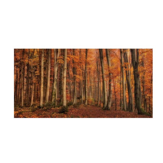 Teppich Wald Herbstspaziergang