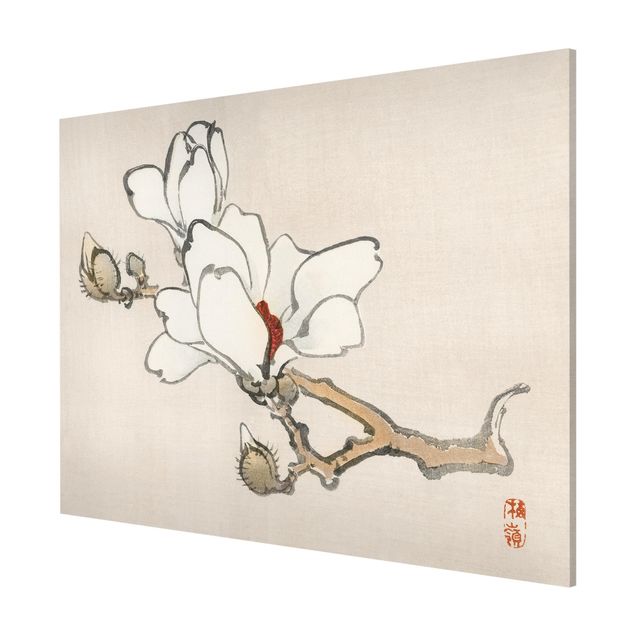 Magnettafel weiß Asiatische Vintage Zeichnung Weiße Magnolie