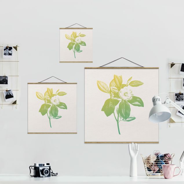 Stoffbild mit Posterleisten - Modern Vintage Botanik Kirschblüte Grün Gelb - Quadrat 1:1