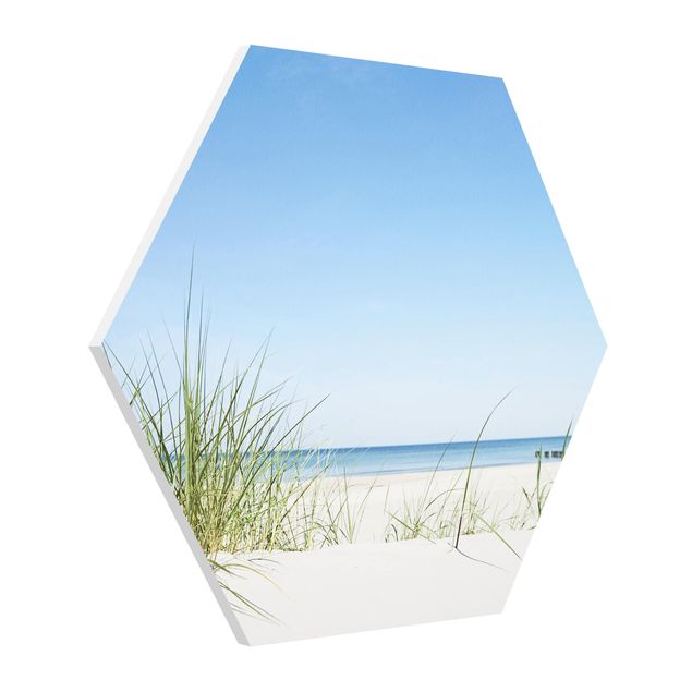 Hexagon Bild Forex - Ostseeküste
