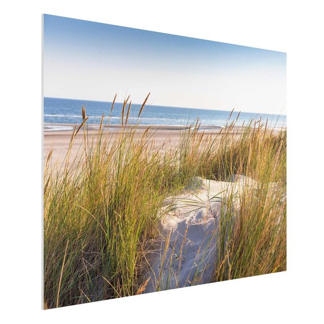 Foto auf Hartschaumplatte Stranddüne am Meer