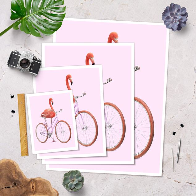 Poster - Jonas Loose - Flamingo mit Fahrrad - Hochformat 4:3