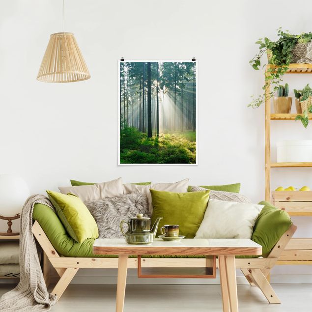 Wandbilder Enlightened Forest