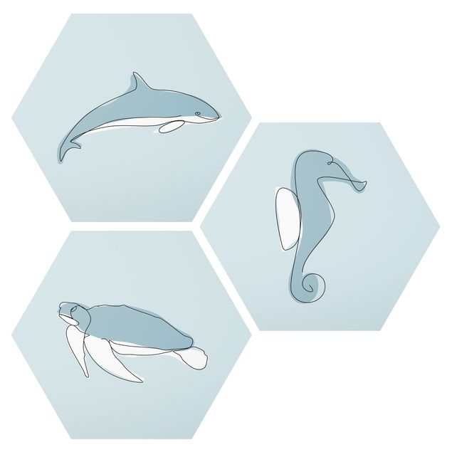 Hexagon Bild Alu-Dibond 3-teilig - Delfin Schildkröte Seepferdchen Line Art