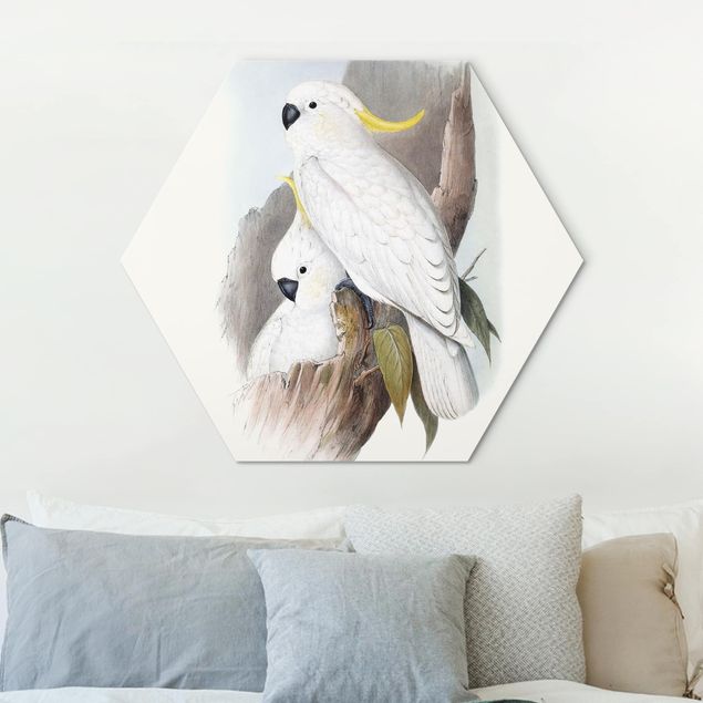 Wandbilder Tiere Pastell Papageien III