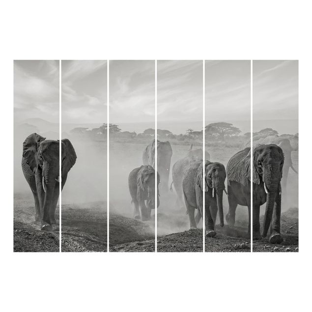 Schiebegardinen 6er Set Elefantenherde