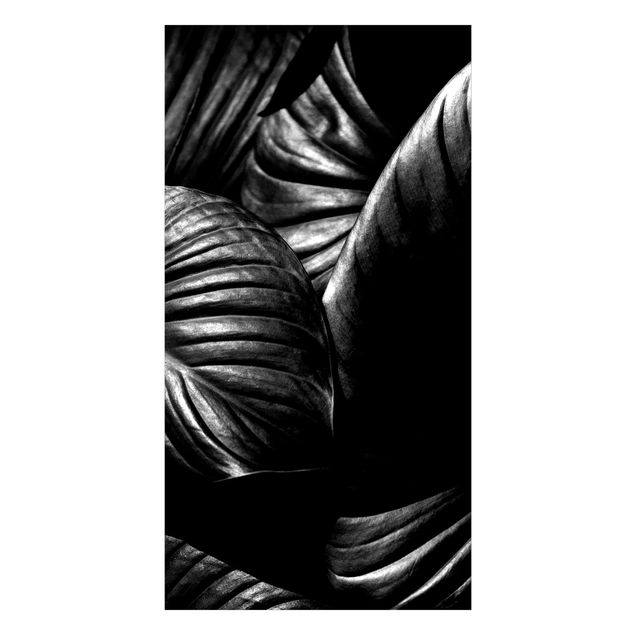 Duschrückwand - Schwarz Weiß Botanik Hosta
