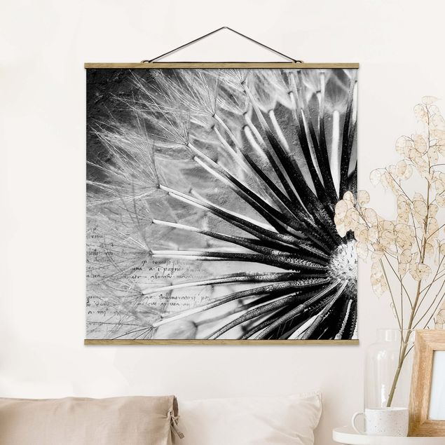 Schöne Wandbilder Pusteblume Schwarz & Weiß