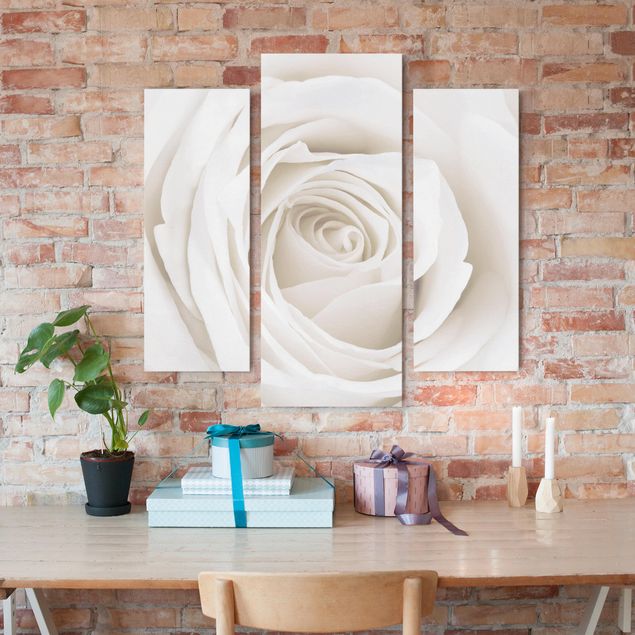 Rosen Bild auf Leinwand Pretty White Rose