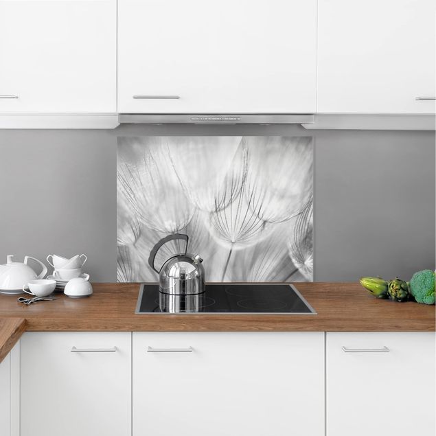 Küchenrückwand Glas Motiv Blumen Pusteblumen Makroaufnahme in schwarz weiß