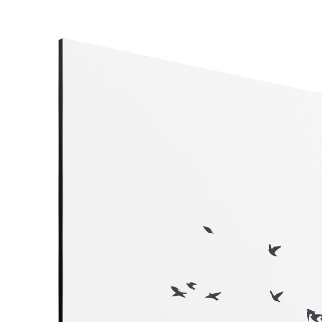 Aluminium Print - Vogelschwarm vor Bergen Schwarz Weiß - Quadrat 1:1