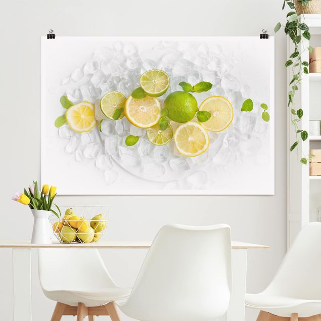 Schöne Wandbilder Zitrusfrüchte auf Eiswürfel