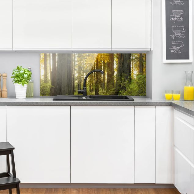 Küchenrückwand Glas Landschaft Redwood National Park