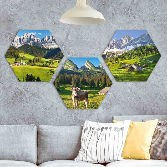 Wandbilder Tiere Almwiesen