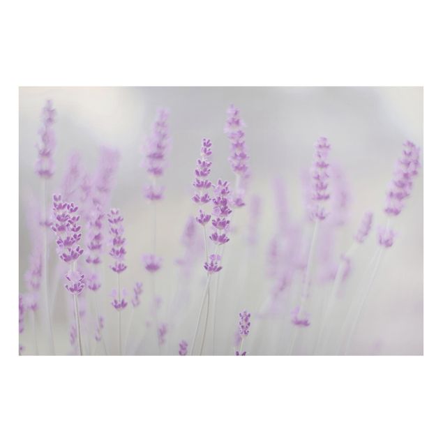 Magnettafel Blumen Sommer im Lavendelfeld