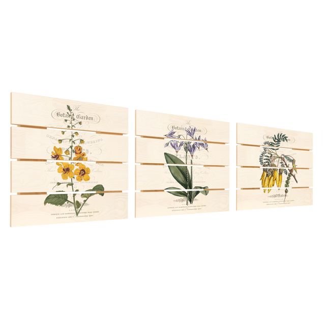 Holzbild 3-teilig - Botanisches Tableau Set I - Quadrate 1:1