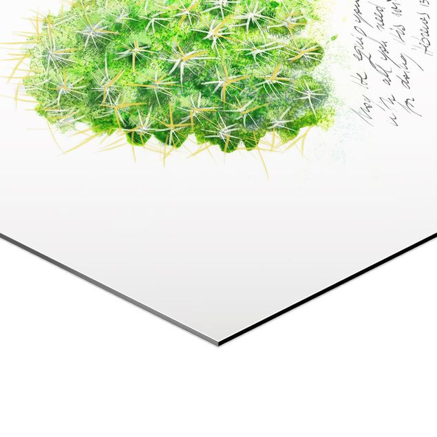 Hexagon Bild Alu-Dibond 4-teilig - Kaktus mit Bibelvers Set I