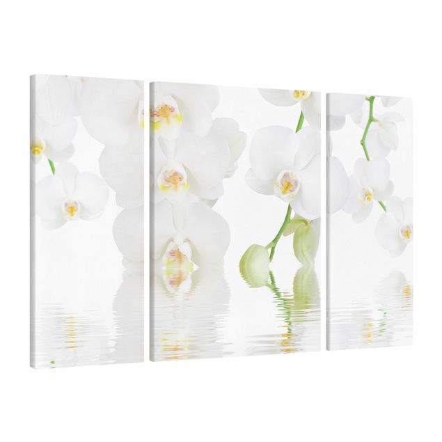 Wandbilder Wohnzimmer modern Wellness Orchidee - Weiße Orchidee