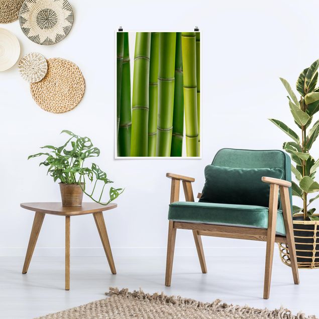 Schöne Wandbilder Bambuspflanzen