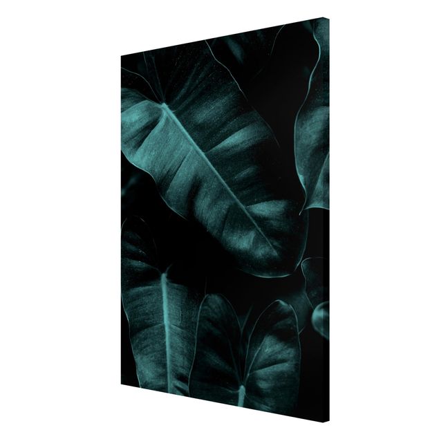 Schöne Wandbilder Dschungel Blätter Dunkelgrün