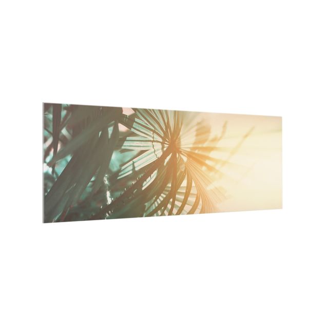 Küchenrückwand Glas Motiv Wald Tropische Pflanzen Palmen bei Sonnenuntergang