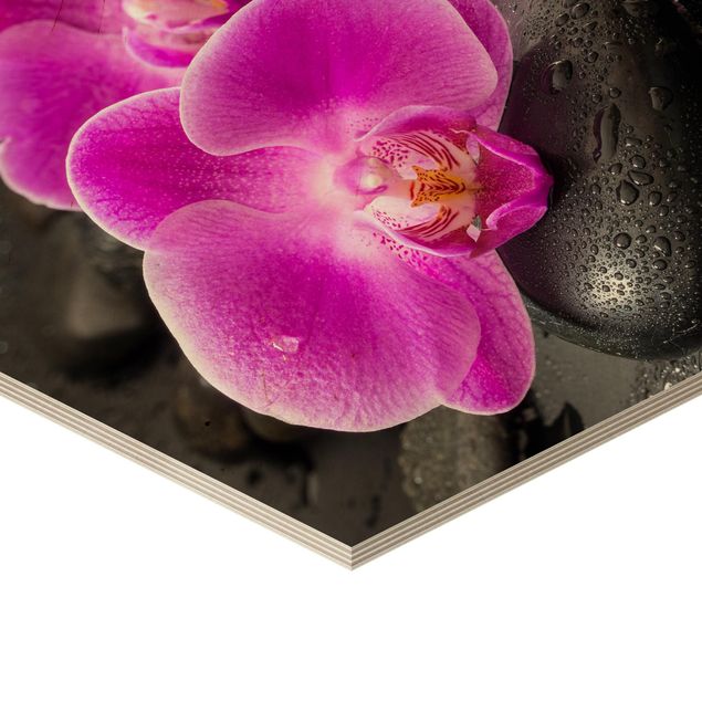 Hexagon Bild Holz - Pinke Orchideenblüten auf Steinen mit Tropfen