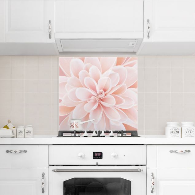 Glasrückwand Küche Blumen Dahlie in Pastellrosa