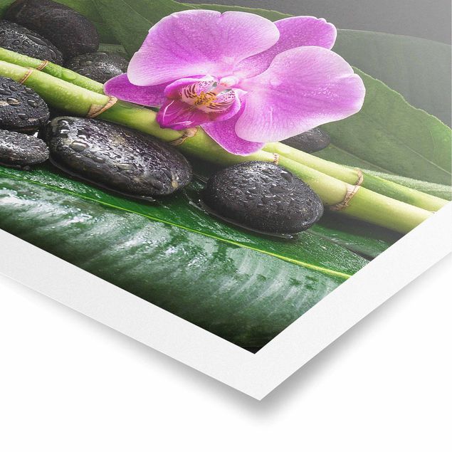 Poster - Grüner Bambus mit Orchideenblüte - Quadrat 1:1