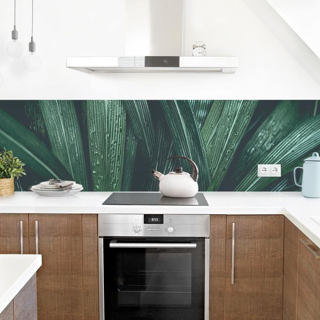 Küchenrückwand Glas Motiv Blumen Grüne Palmenblätter