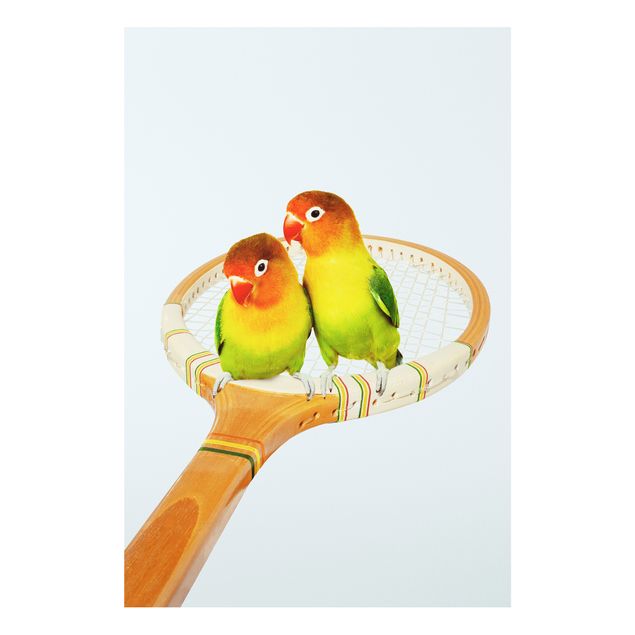 Foto auf Hartschaumplatte Tennis mit Vögeln
