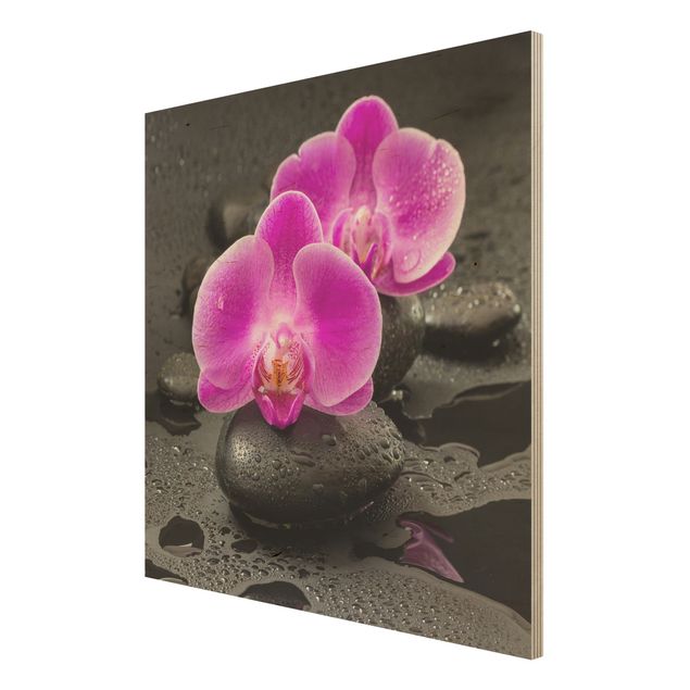 Bilder auf Holz Pinke Orchideenblüten auf Steinen mit Tropfen
