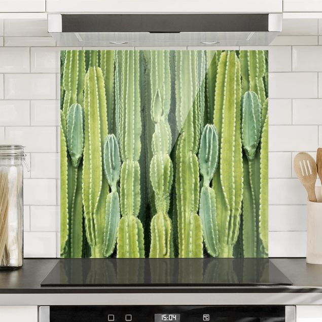 Spritzschutz Glas magnetisch Kaktus Wand