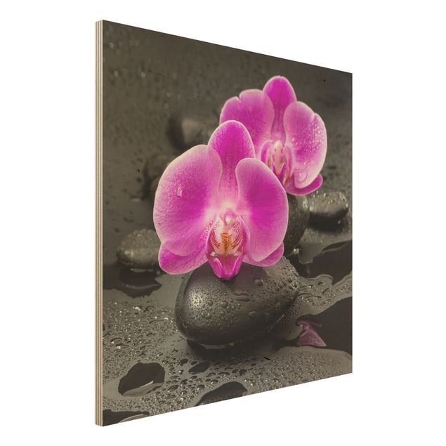 Holzbilder Blumen Pinke Orchideenblüten auf Steinen mit Tropfen
