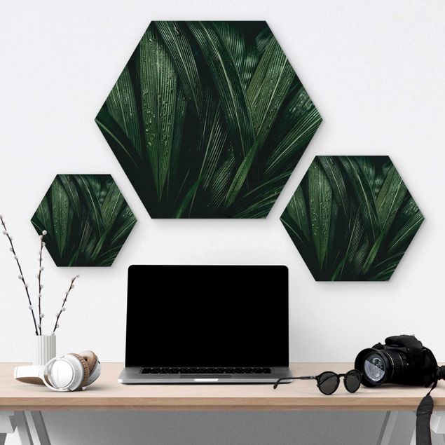 Hexagon Bild Holz - Grüne Palmenblätter