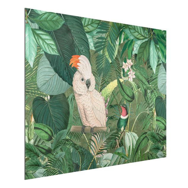Wandbilder Tiere Vintage Collage - Kakadu und Kolibri