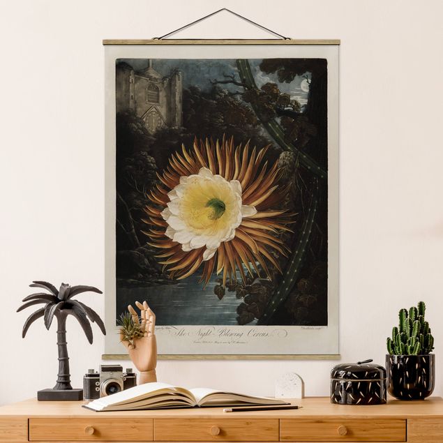 Bilder für die Wand Botanik Vintage Illustration Kaktusblüte