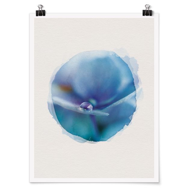Poster Wasserfarben - Wassertropfen Hortensienblüte