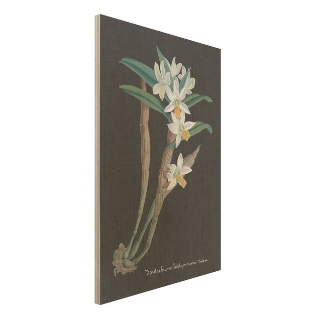 Holzbilder Vintage Weiße Orchidee auf Leinen I