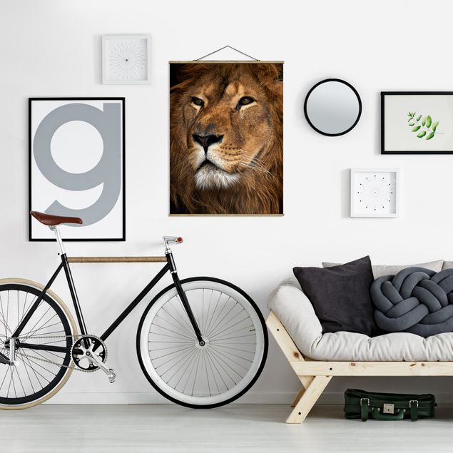 Stoffbilder mit Holzleisten Löwenblick