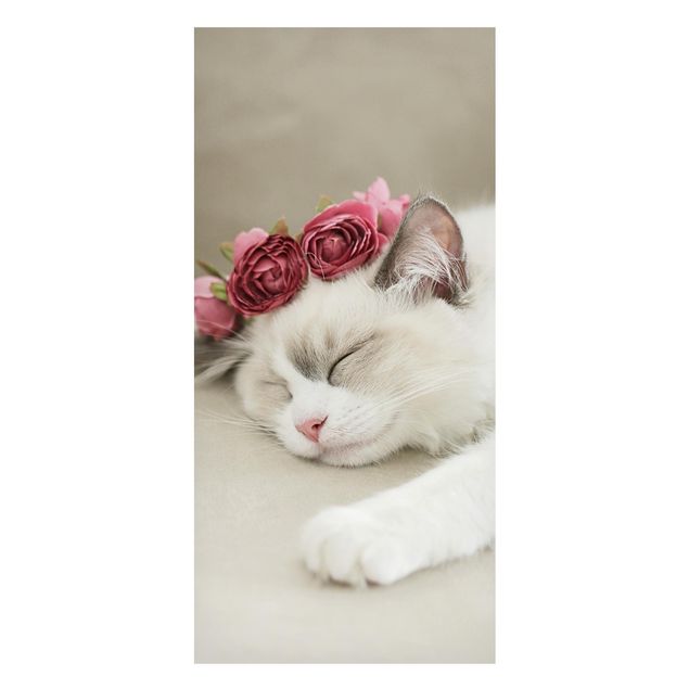 Magnettafel Blumen Schlafende Katze mit Rosen