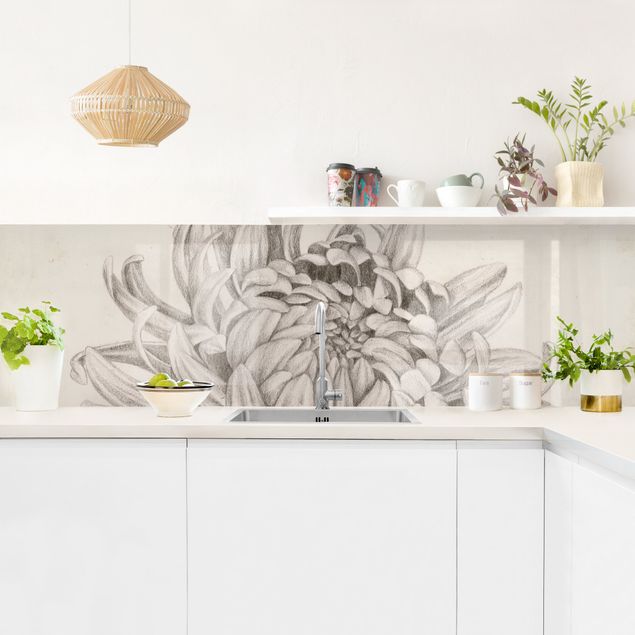 Küchenrückwand Blumen Botanische Studie Chrysantheme I