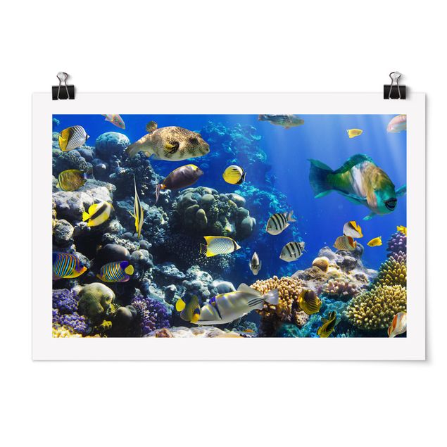 Strand Poster Underwater Reef
