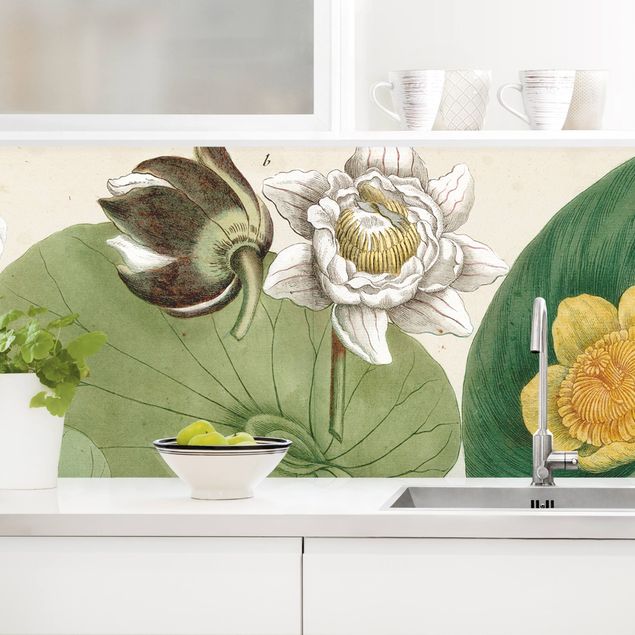 Küchenrückwände Platte Vintage Illustration Weiße Wasserlilie