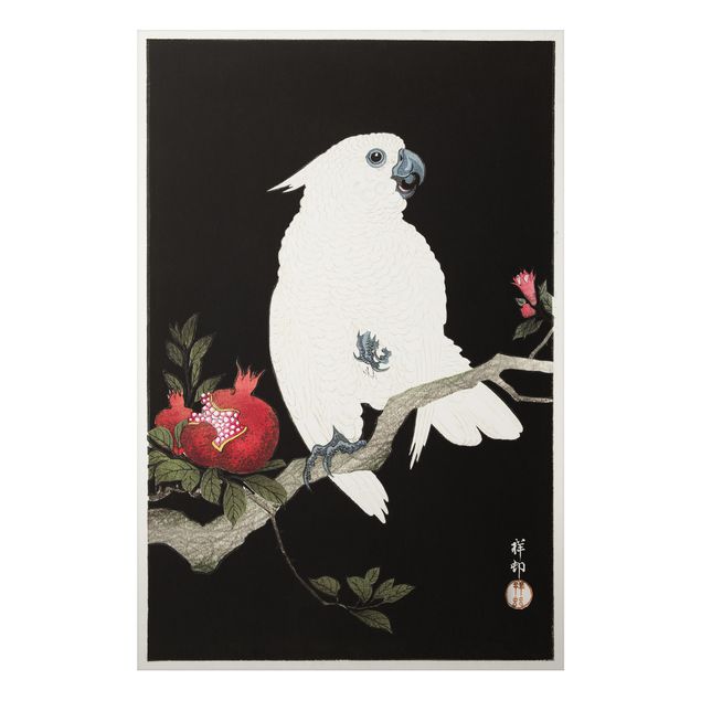 Schöne Wandbilder Asiatische Vintage Illustration Weißer Kakadu