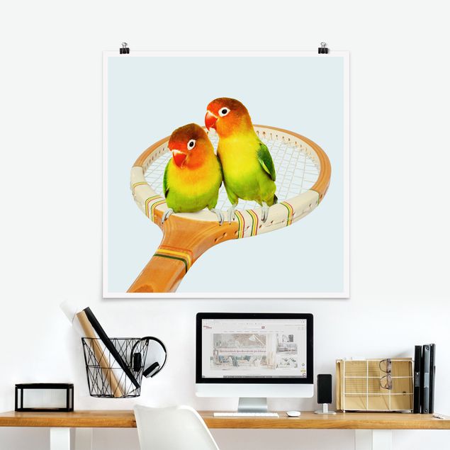 Wandbilder Tiere Tennis mit Vögeln