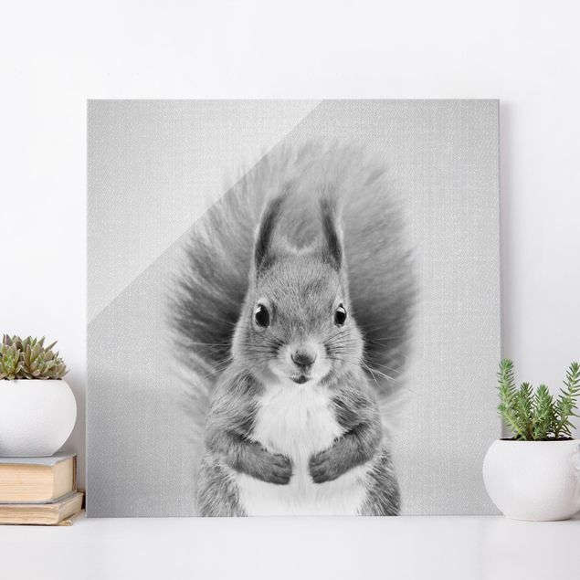 Wandbilder Tiere Eichhörnchen Elisabeth Schwarz Weiß