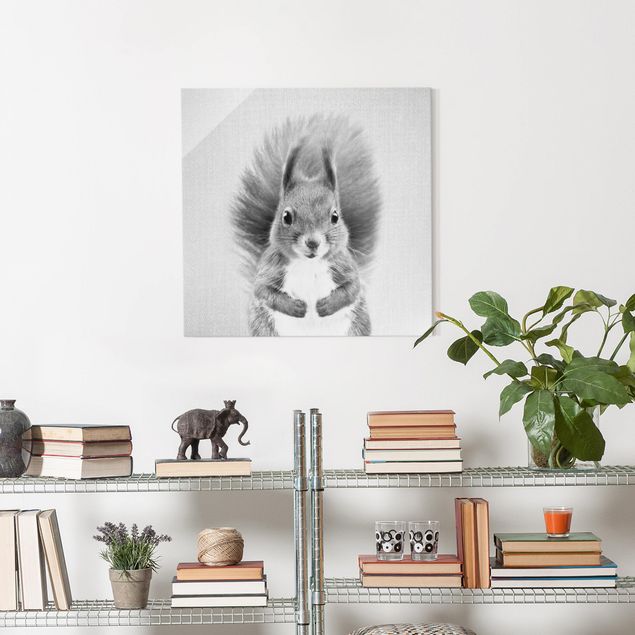 Glasbild Schwarz-Weiß Eichhörnchen Elisabeth Schwarz Weiß